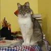 Отзыв от Прасковья Котова